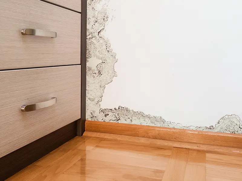 Need reliable Water Damage Restoration Services? Our experts provide fast, professional water removal, drying, and repairs. Contact us now for immediate help!